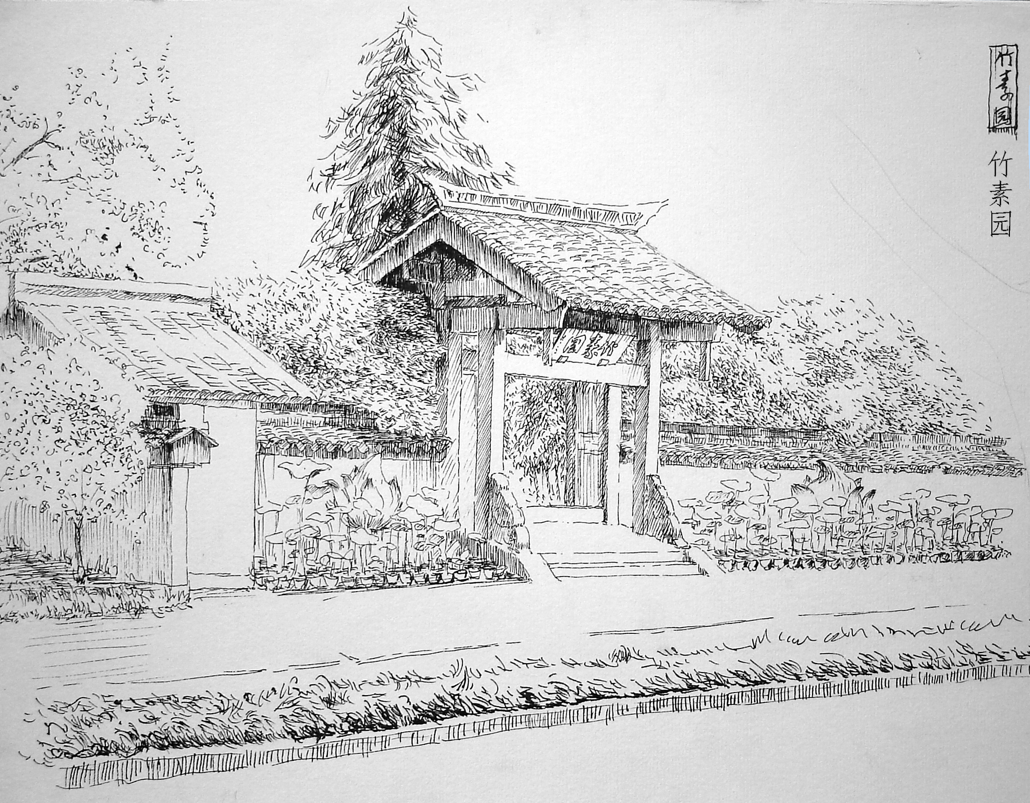 杭州植物园手绘图片