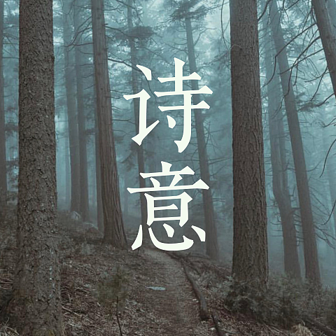 毕业设计《诗苑宋》海报废案合集（图ZMjEwNTA3NjI4） - 字体/字形 - 站酷设计师貝大人原创素材 - 站酷ZCOOL