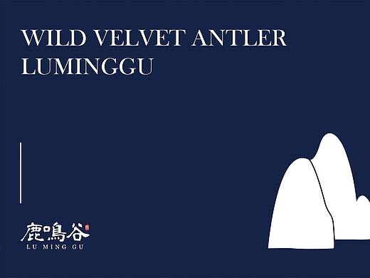 鹿鸣谷品牌VI（个人主页-ZNDE3NzE2MzI=） - 品牌 - 站酷设计师张小白_996原创素材 - 站酷ZCOOL