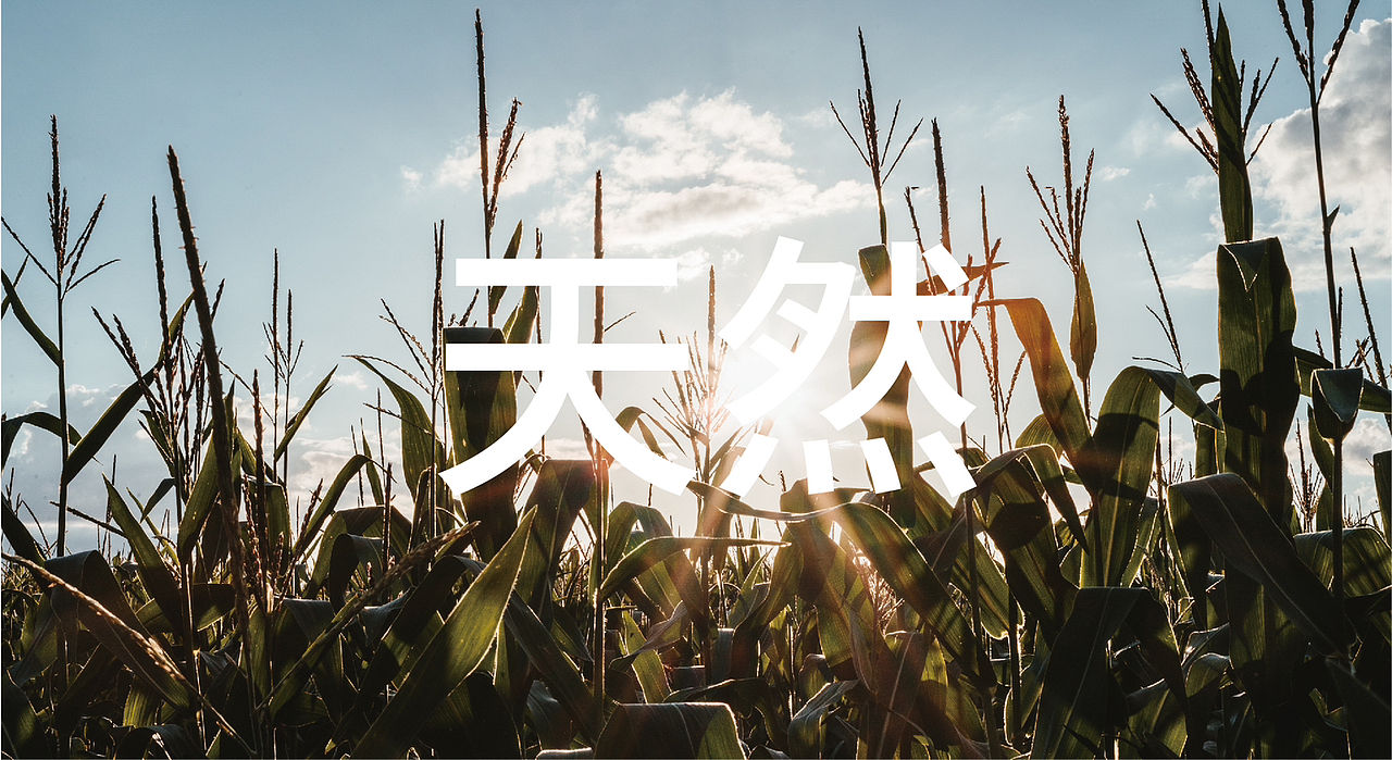 清牧农庄品牌提案（图ZMzIzOTY4ODky） - 品牌 - 站酷设计师风流先生原创素材 - 站酷ZCOOL
