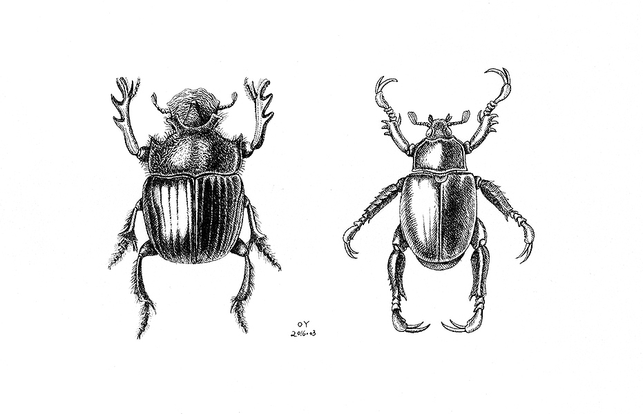OY手绘·一天一画50（图ZNDY2MDI2MTI=） - 艺术插画 - 站酷设计师欧阳鹏杰_OY原创素材 - 站酷ZCOOL