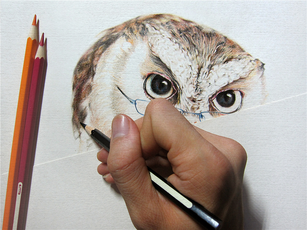 纸上彩铅-《福鸟花鸮》绘制过程（图ZMjcxNzMwMDg=） - 绘画 - 站酷设计师超超的青葱原创素材 - 站酷ZCOOL