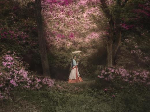 我把美梦揉进了画里