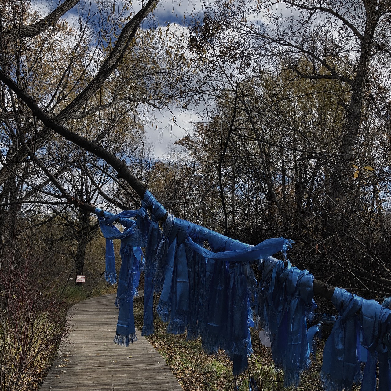 翻出来一些旧图