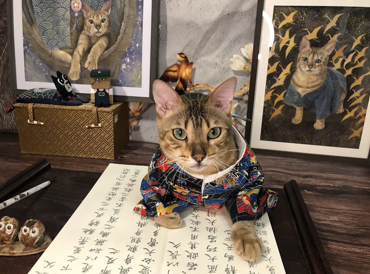 宠物画像-猫咪古风「狄豆公子的画像」