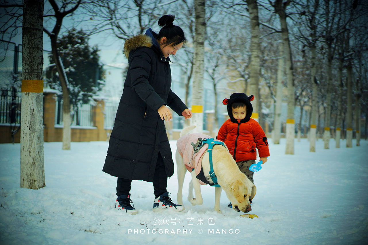 2020#被狗狗欺负的小朋友