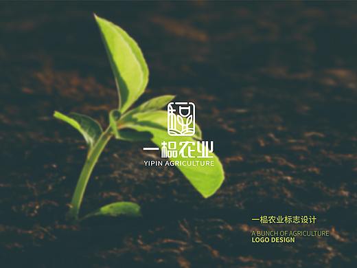 一榀农业品牌设计（已商用）