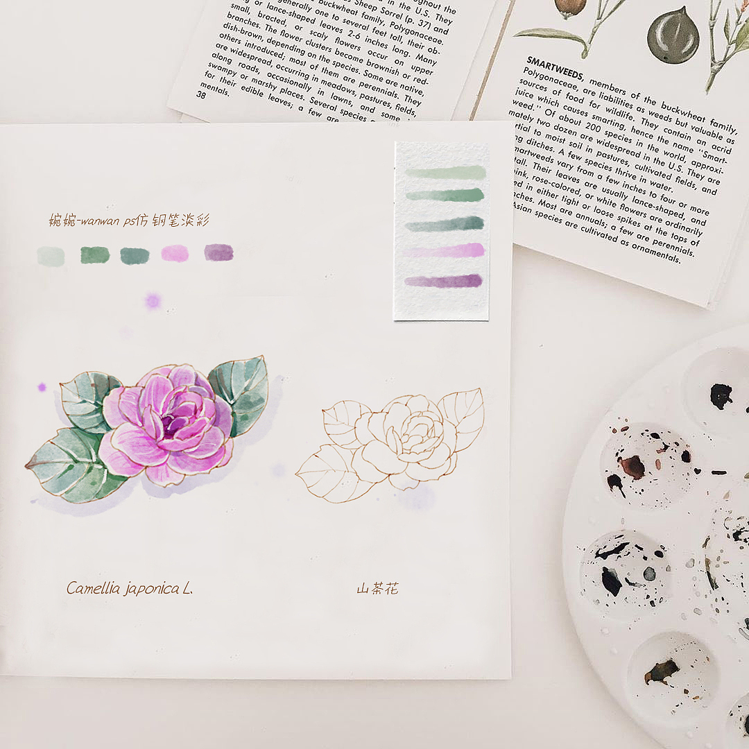 一组仿钢笔淡彩花卉插画