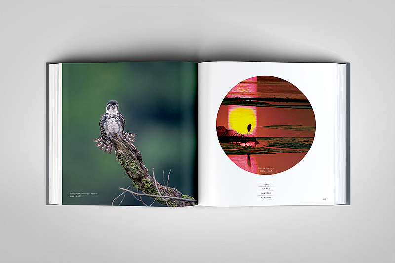 平面设计-摄影类画册