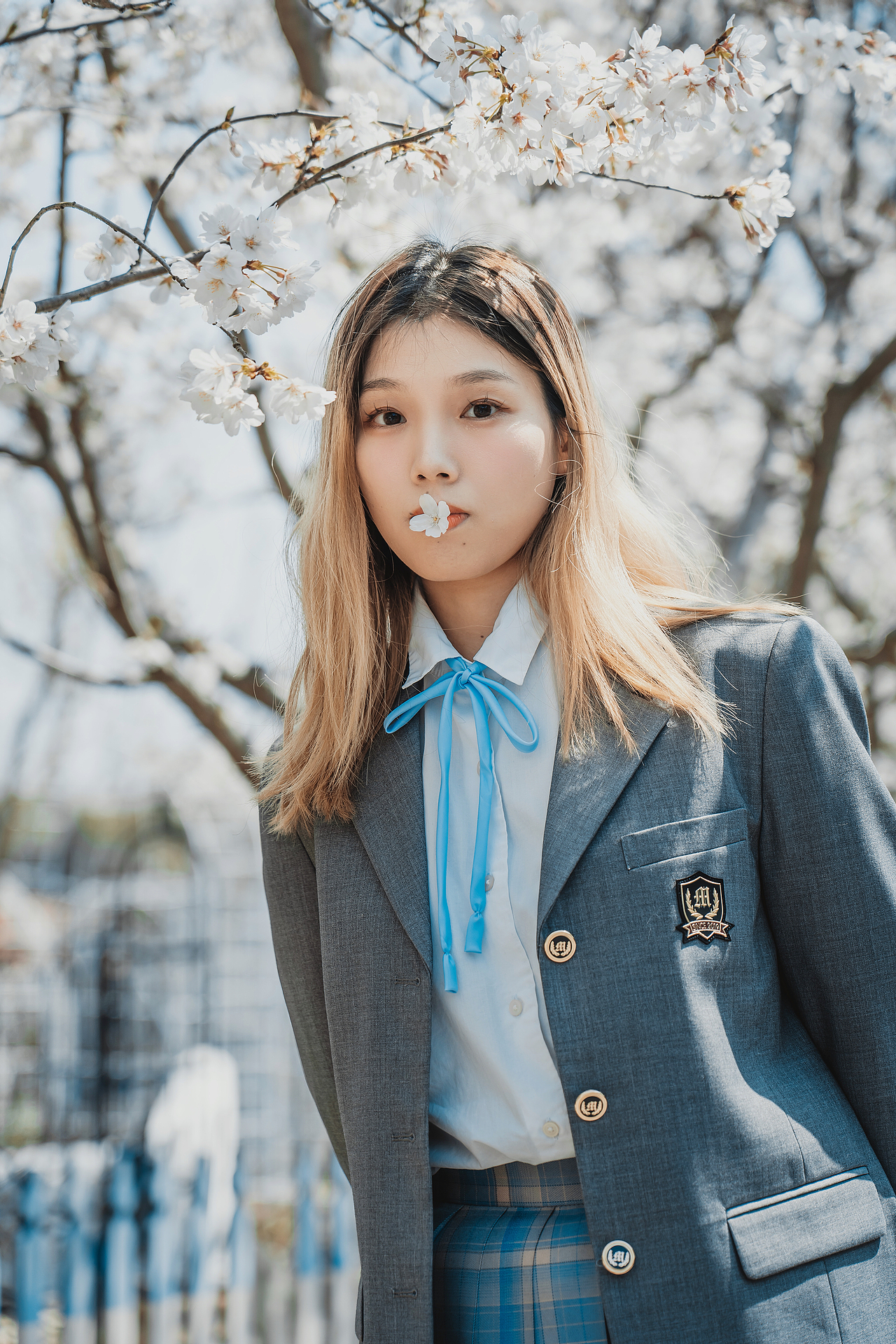 清明前最后的晚樱（图ZMzM2MDMzMjc2） - 人像摄影 - 站酷设计师EddardStark原创素材 - 站酷ZCOOL