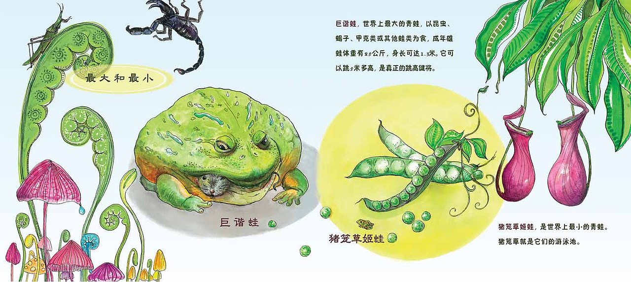 《小青蛙成长记》儿童科普类读物（图ZMjY3NjIzOTY=） - 儿童插画 - 站酷设计师白芳圆原创素材 - 站酷ZCOOL