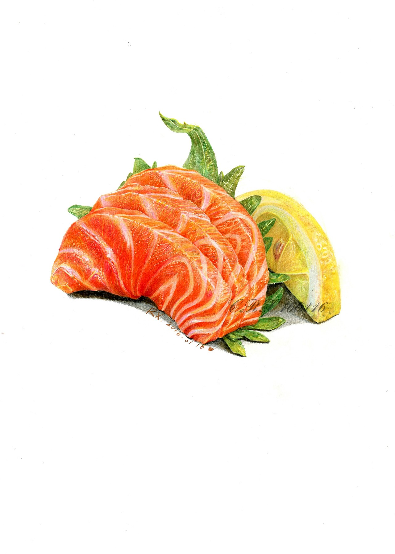 彩铅美食三文鱼刺身