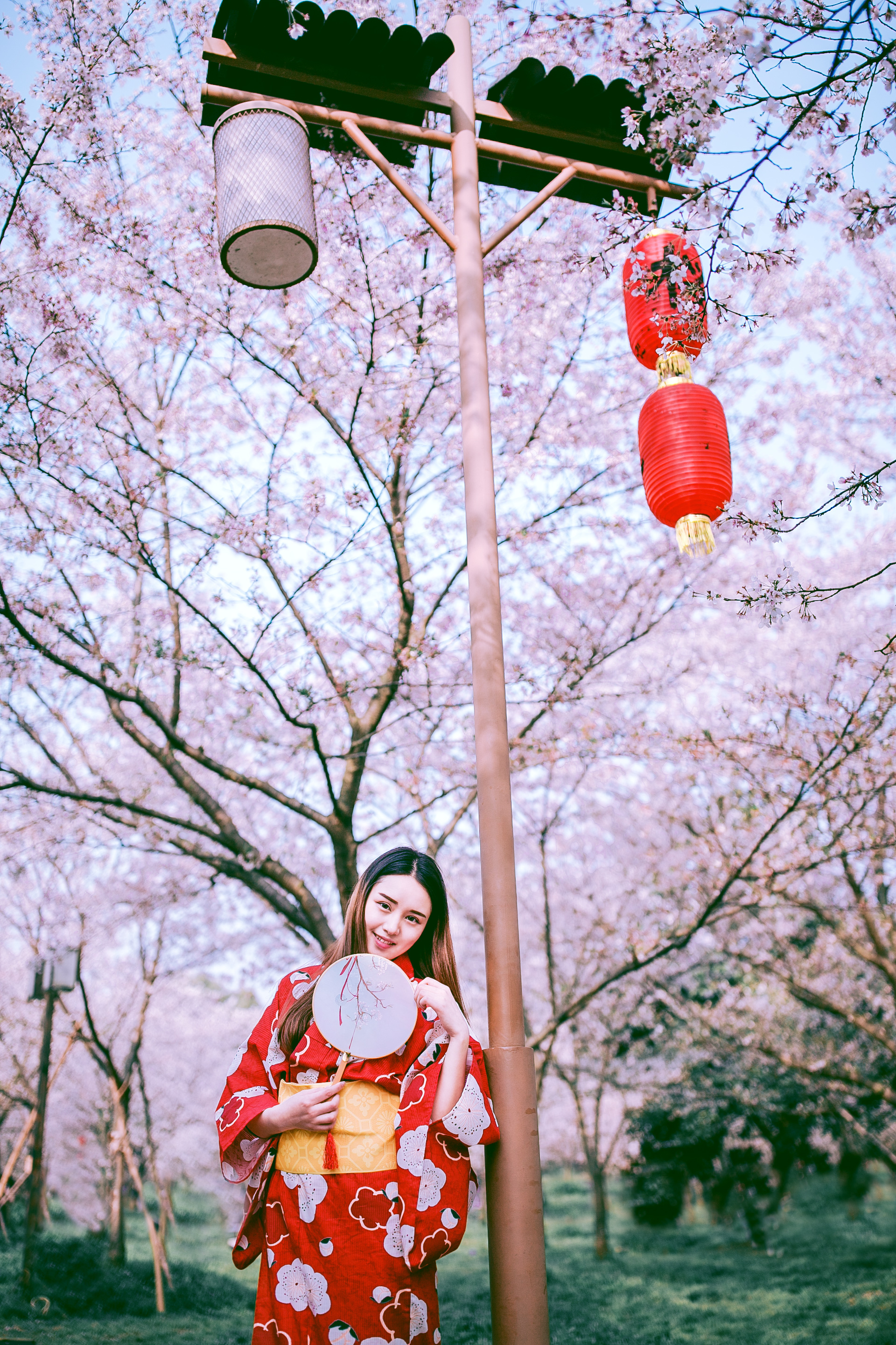 【春の颜】樱花和服写真