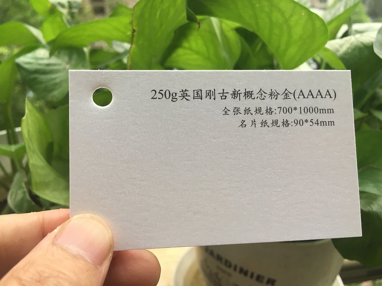 2019款特种纸艺术纸实物展示样册