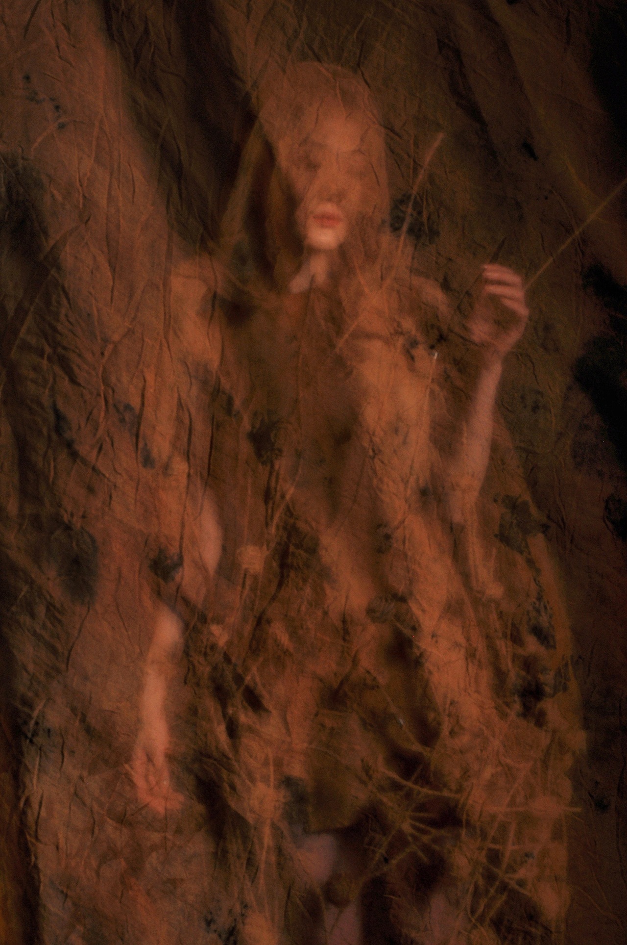 《The last rose in the barren land》