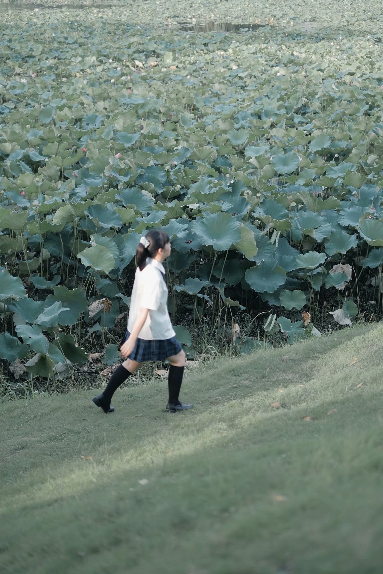 嘿，你也是jk少女吗？