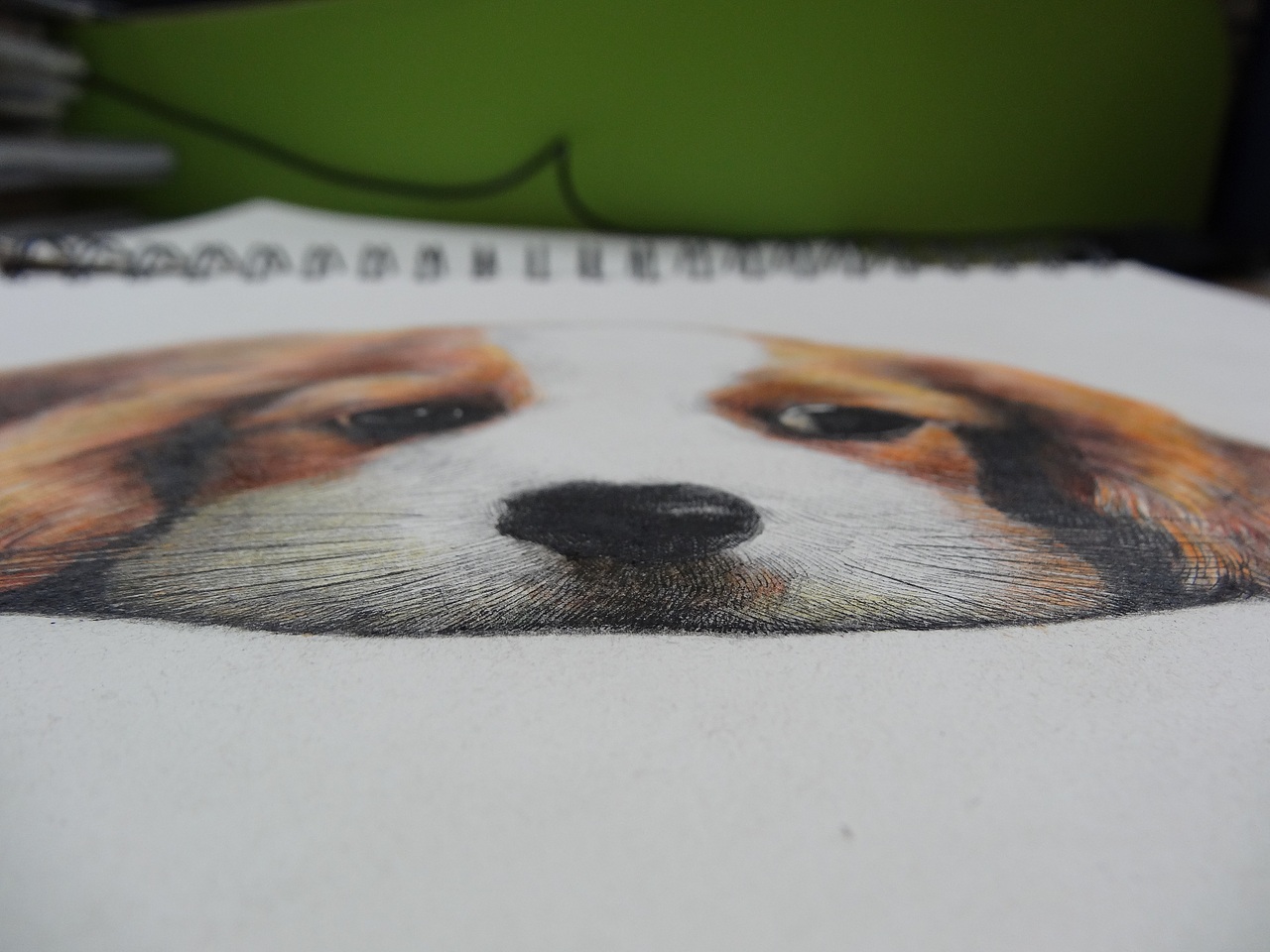 呆呆狗（彩鉛畫(huà)）（圖ZMTY4ODk0ODA=） - 創(chuàng)作習(xí)作 - 站酷設(shè)計(jì)師許歡原創(chuàng)素材 - 站酷ZCOOL