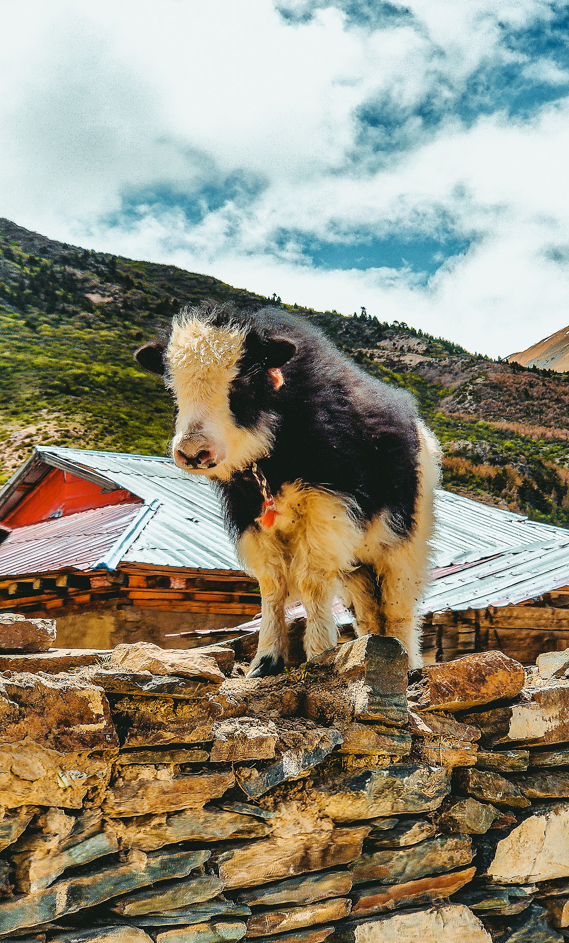 2020年川藏线摩托车旅行（图ZMjM4MDY2NzM2） - 人文/纪实摄影 - 站酷设计师程弎益原创素材 - 站酷ZCOOL