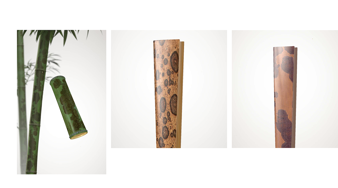 用岳阳君山二妃墓特有的“湘妃竹”斑竹制成的扇骨,外皮有淡褐色或紫褐色的圆斑,且斑如泪。
<br>神话为二妃为舜之死而泣,泪洒竹林形成斑竹,这片斑竹仅在二妃墓旁的那片竹林才有,世上别无他处。