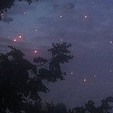 吵吵_的头像