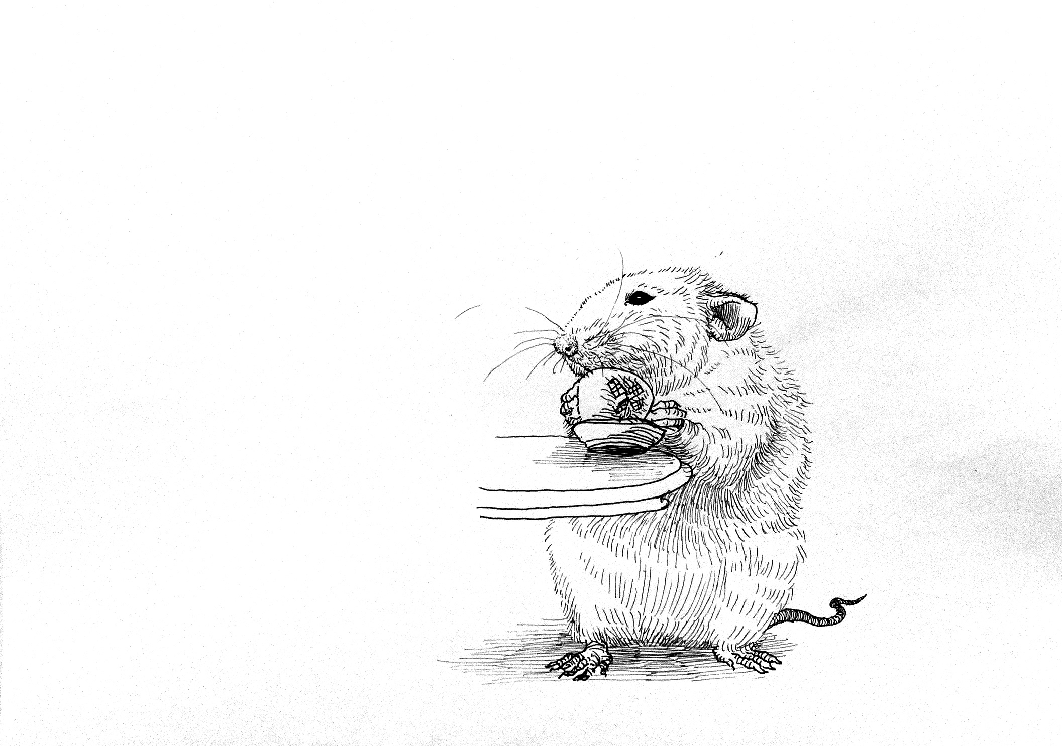 田鼠和家鼠|插画|儿童插画|碧呀碧 - 原创作品 - 站酷 (ZCOOL)