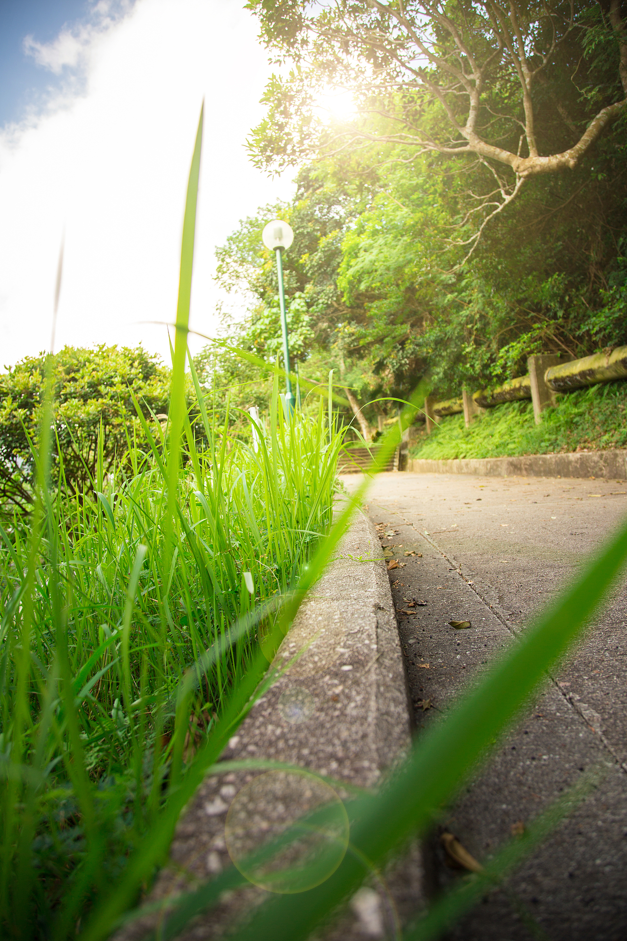 ROLLING IN THE FEVER CITY