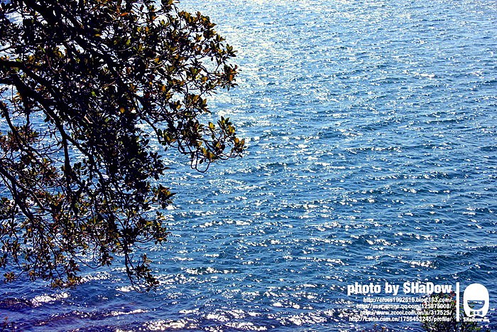 Australia&New Zealand1