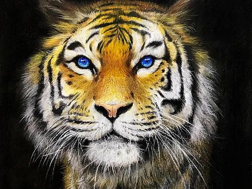 老虎（个人主页-ZMzQwNTQ0MzY=） - 绘画 - 站酷设计师丁聪原创素材 - 站酷ZCOOL