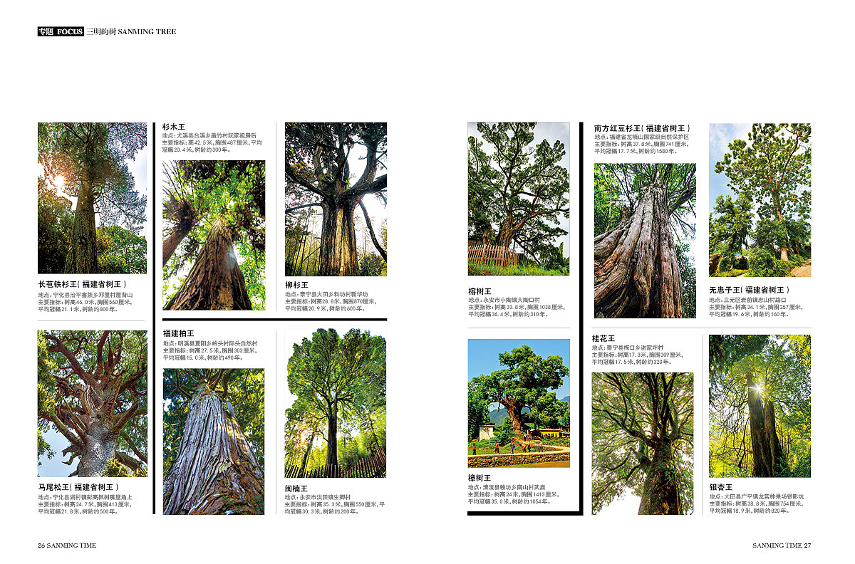 《时代三明》杂志-专题·三明的树-封面:李家乡鲜水塘