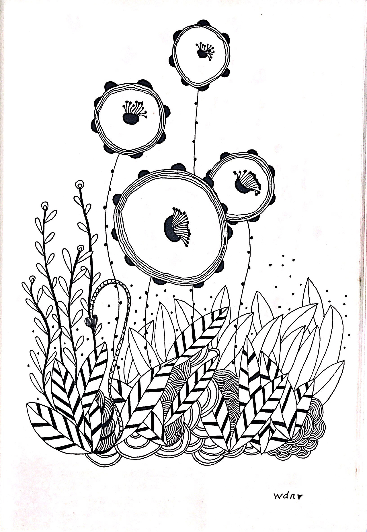 禅绕画线描装饰画手绘插画