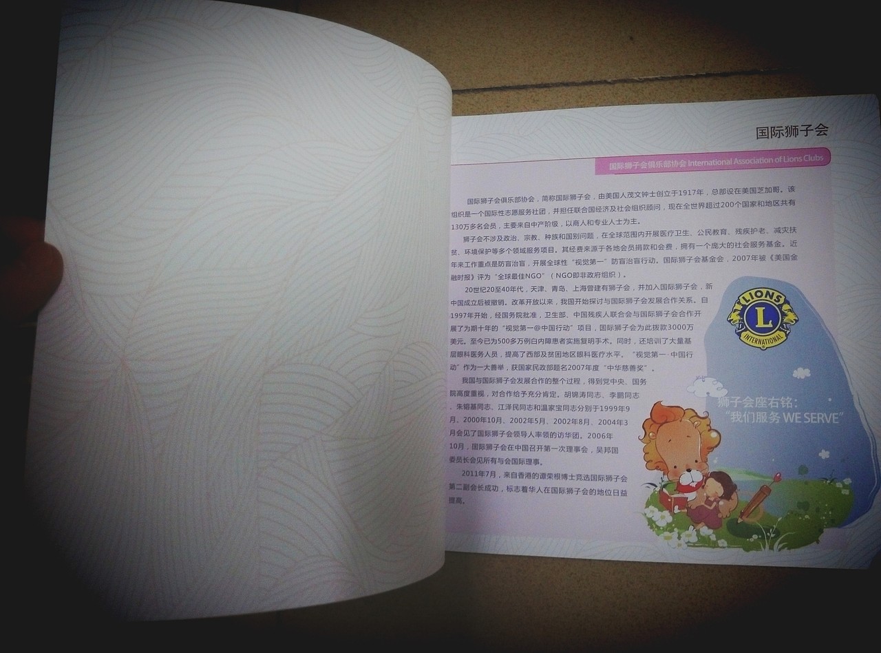 狮子会画册（图ZMzkzMjM4MjQ=） - 书籍/画册 - 站酷设计师Steve_William原创素材 - 站酷ZCOOL