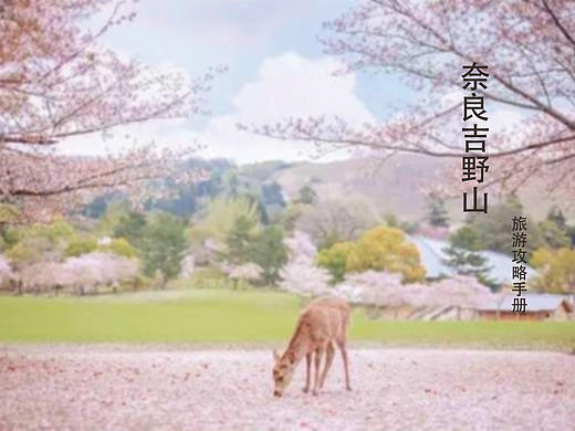 奈良旅游攻略册