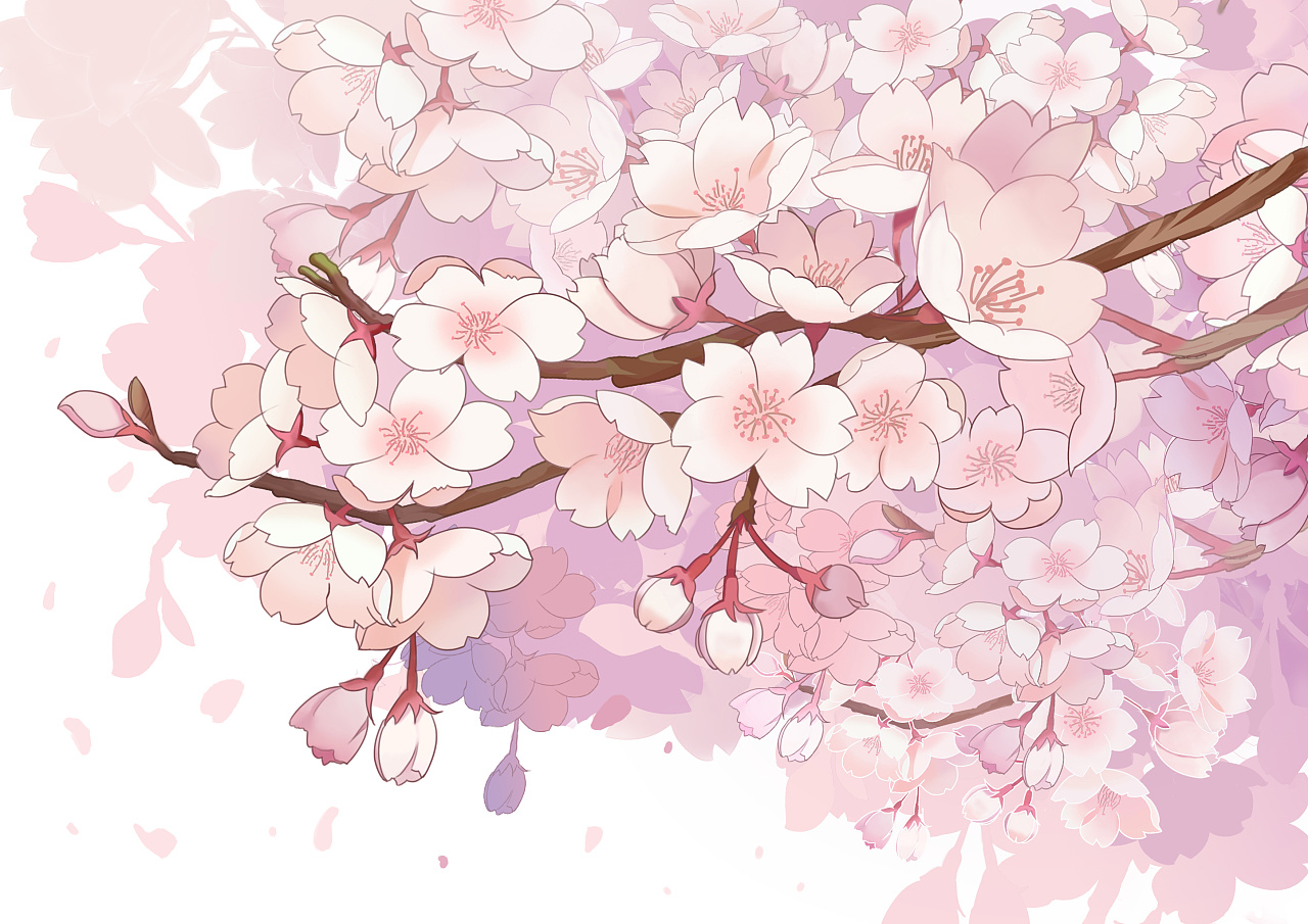 樱花是什么样子的手绘图片