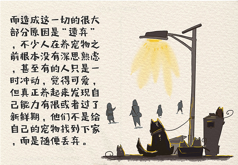 韩先生的养猫日记-第三季