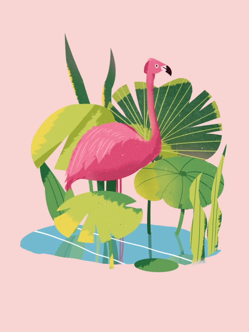 神奇动物在这里（图ZOTYwOTA2MjQ=） - Motion Graphic - 站酷设计师cloudyI原创素材 - 站酷ZCOOL