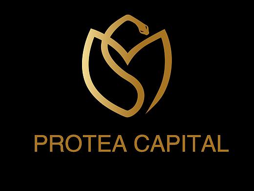 logo-金融公司（个人主页-ZNDM2NjMxNjA=） - Logo - 站酷设计师虎小原创素材 - 站酷ZCOOL