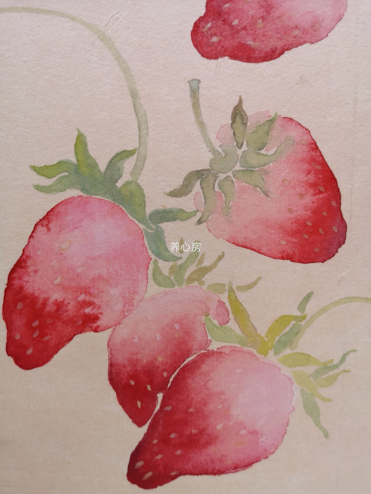 莓有烦恼（图ZMjY3MzgwNjUy） - 绘画 - 站酷设计师养心房主原创素材 - 站酷ZCOOL