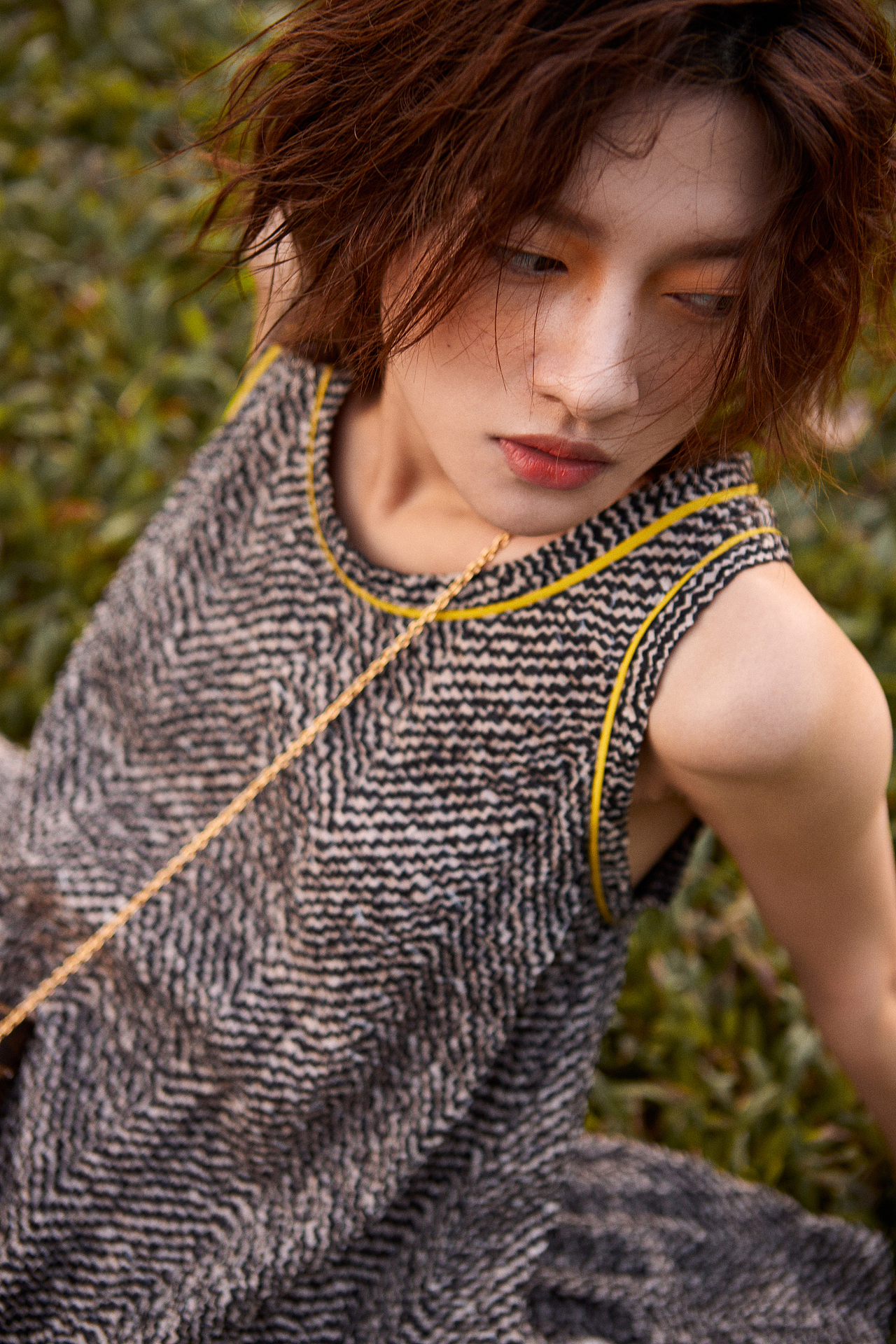 秋天来了 小鹿斑比