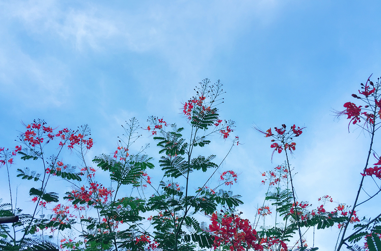 越南之旅（图ZNzAwOTYxNDA=） - 风光摄影 - 站酷设计师Huang大菲菲原创素材 - 站酷ZCOOL