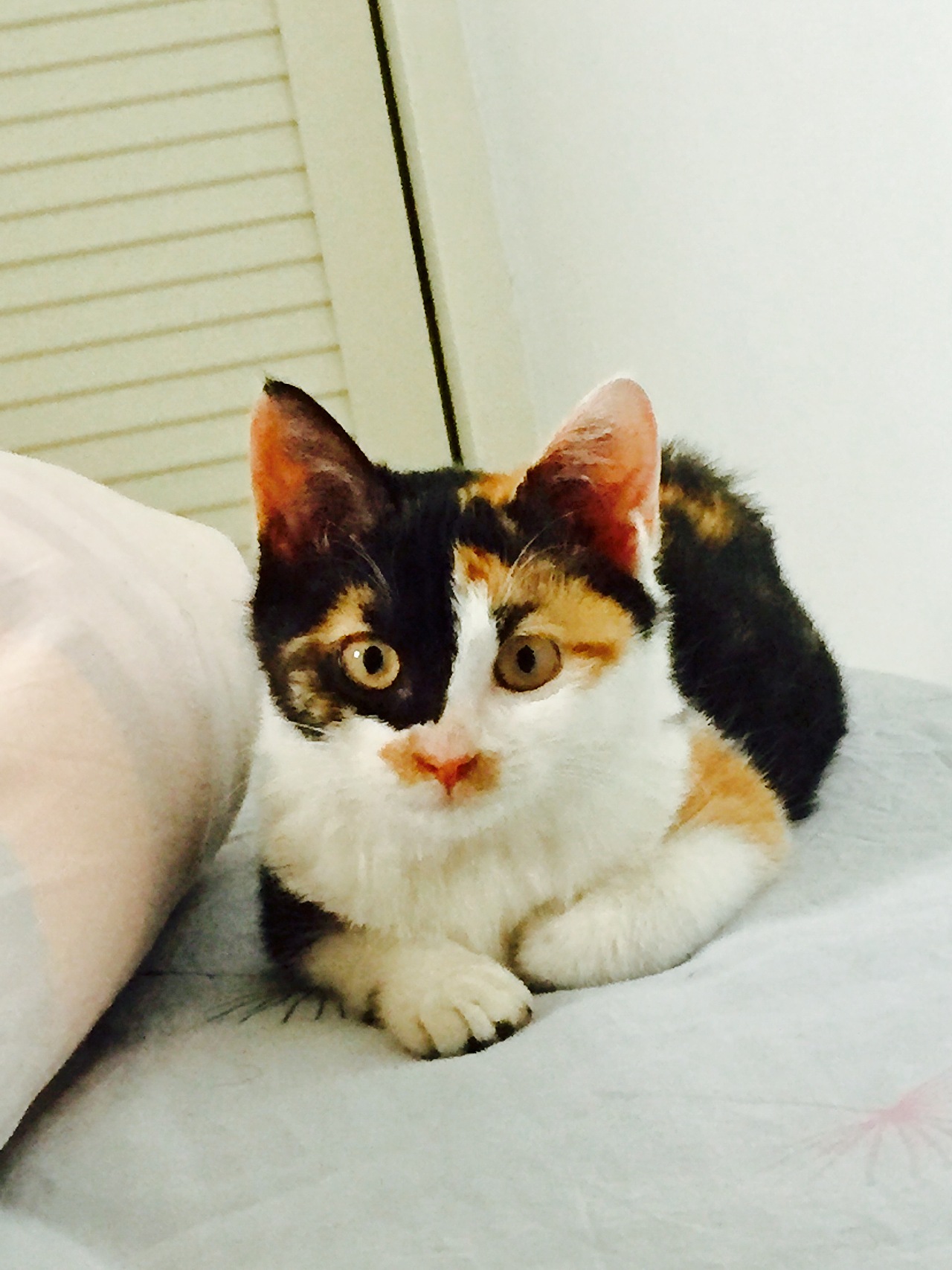 我家那几口子-手机拍摄