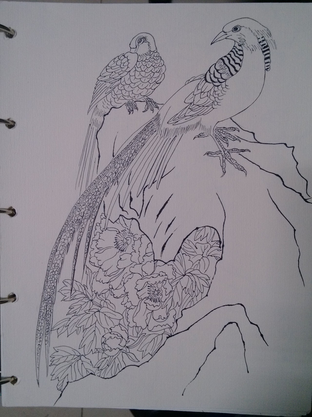 钢笔速写（图ZNTk1NjMzNjA=） - 艺术插画 - 站酷设计师甲甲玲原创素材 - 站酷ZCOOL