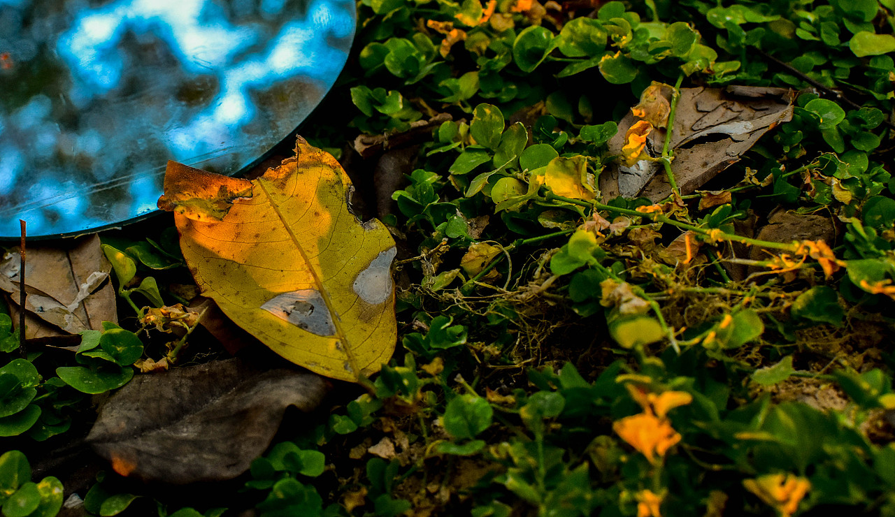 2019橙月 . 迟（图ZMjI2NzAzODg0） - 人文/纪实摄影 - 站酷设计师川页君原创素材 - 站酷ZCOOL