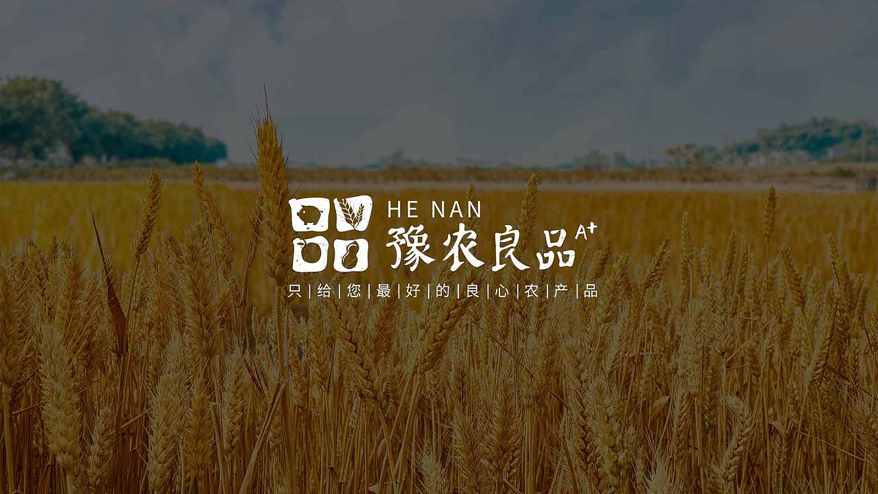 豫农良品 河南农产品联合品牌方案