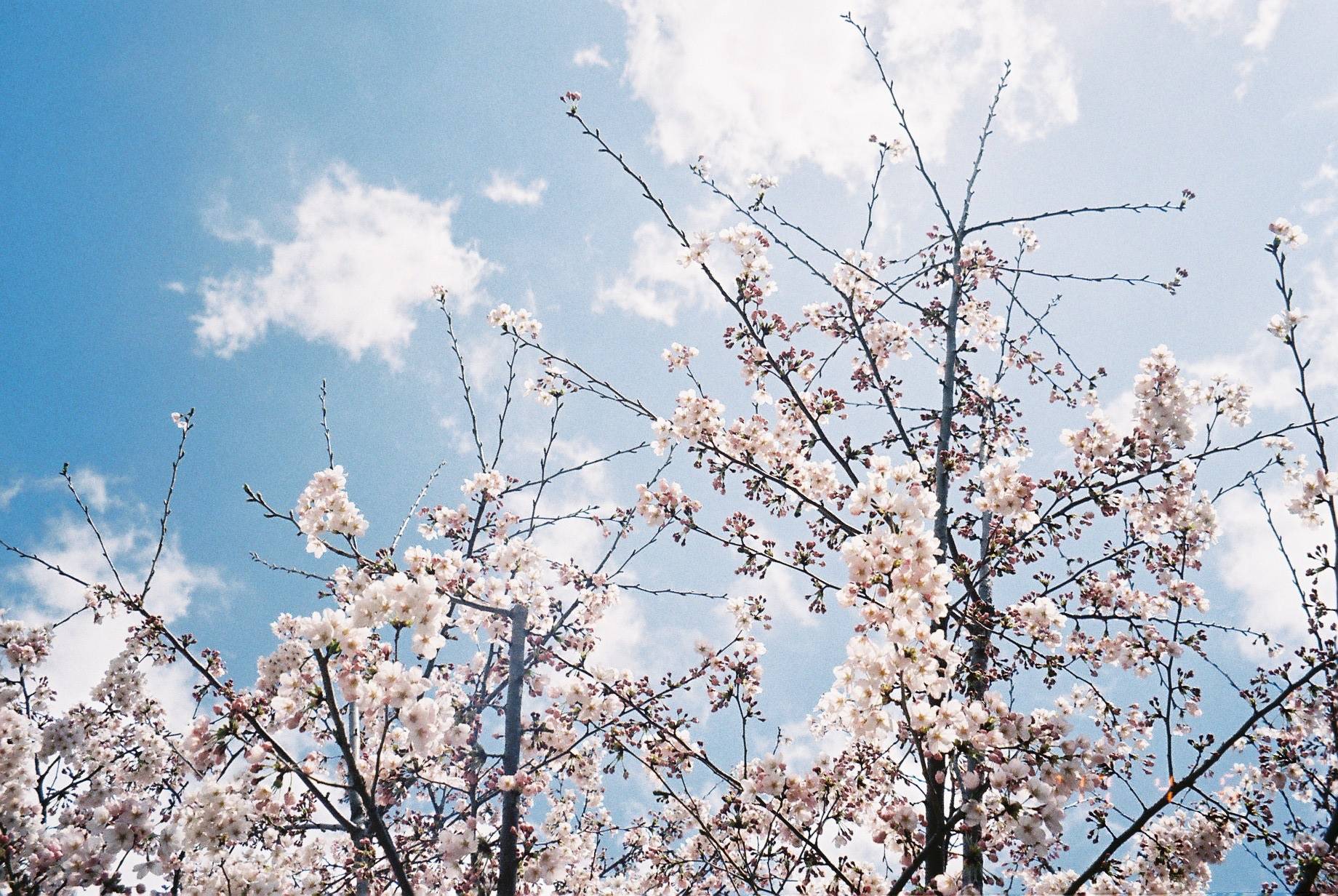 500円储钱罐的个人主页（封面预览） - 主页封面设置 - 站酷设计师500円储钱罐原创素材 - 站酷ZCOOL