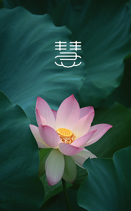 一日一词,久必有得(十月&十一月汇)