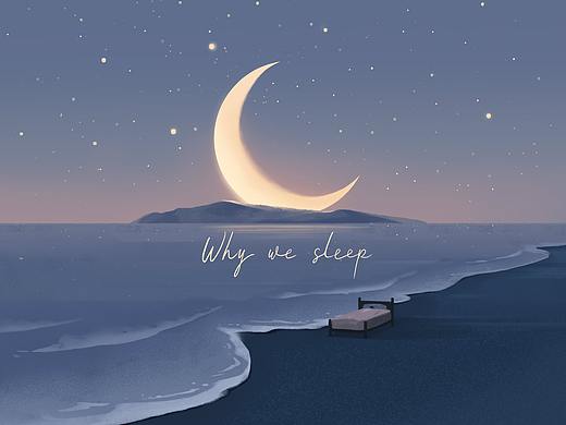 潮汐App 睡眠故事·插画（二）