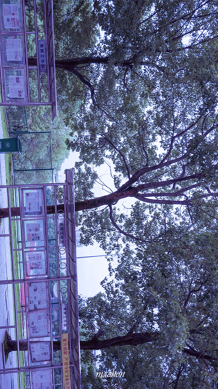 湖南工业大学科技学院（图ZMjEzNjc4NzA4） - 风光摄影 - 站酷设计师小马很快乐原创素材 - 站酷ZCOOL