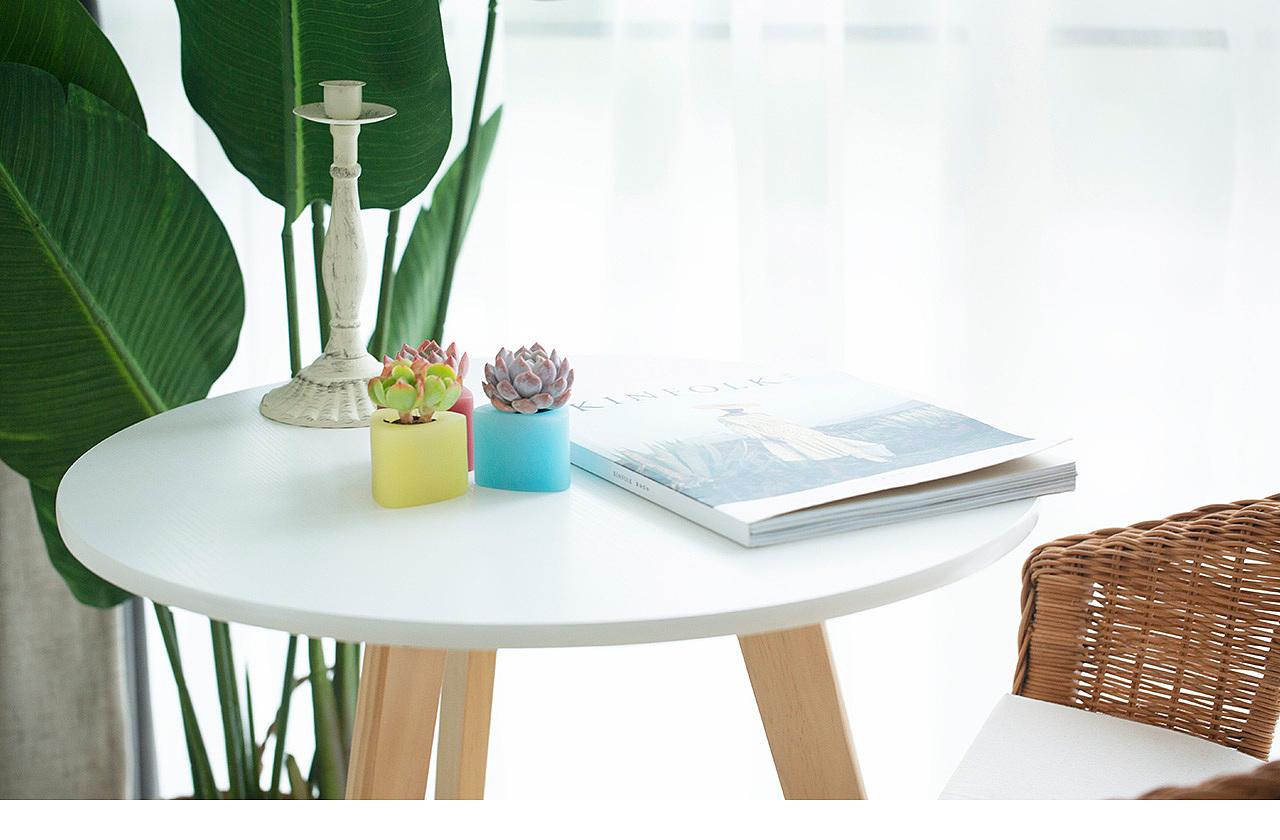 三款INS风家居无土栽培多肉植物-产品摄影（图ZMTMzNTk2NDgw） - 产品摄影 - 站酷设计师Pazza大安原创素材 - 站酷ZCOOL