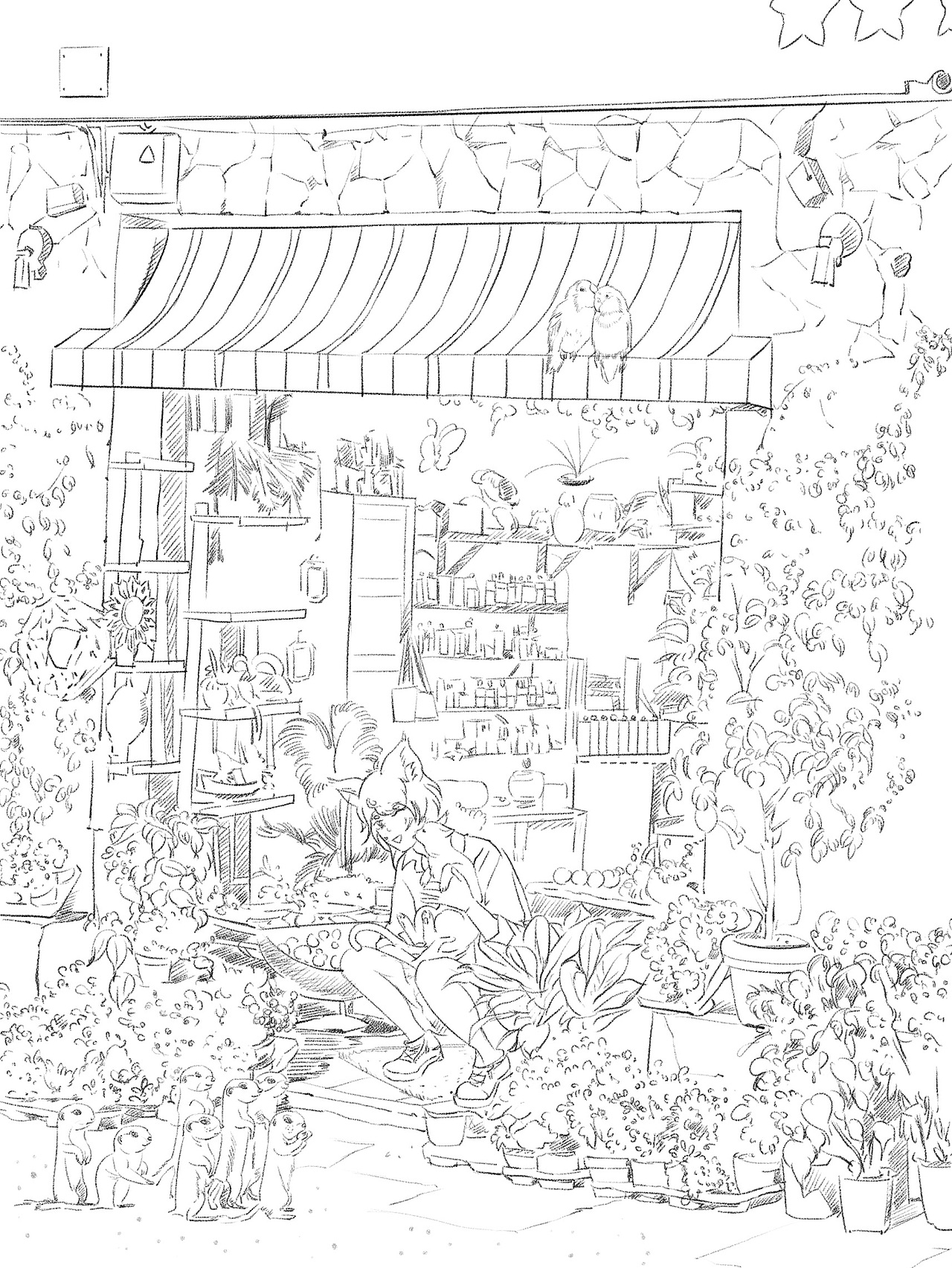 午后花园,猫,鹦鹉,你