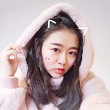 七只小猫的头像